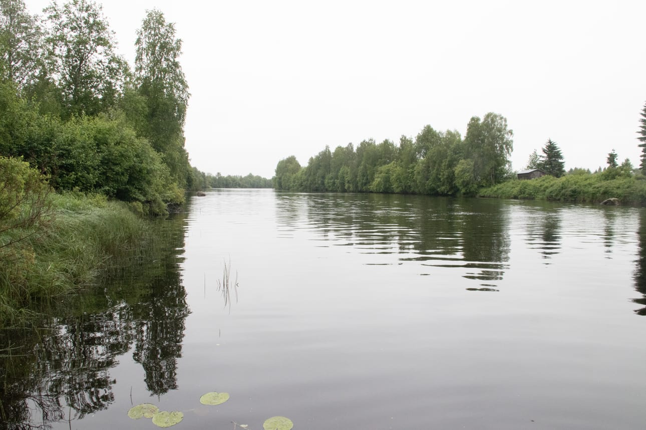 Siikajoki kuvattuna viime kesänä.