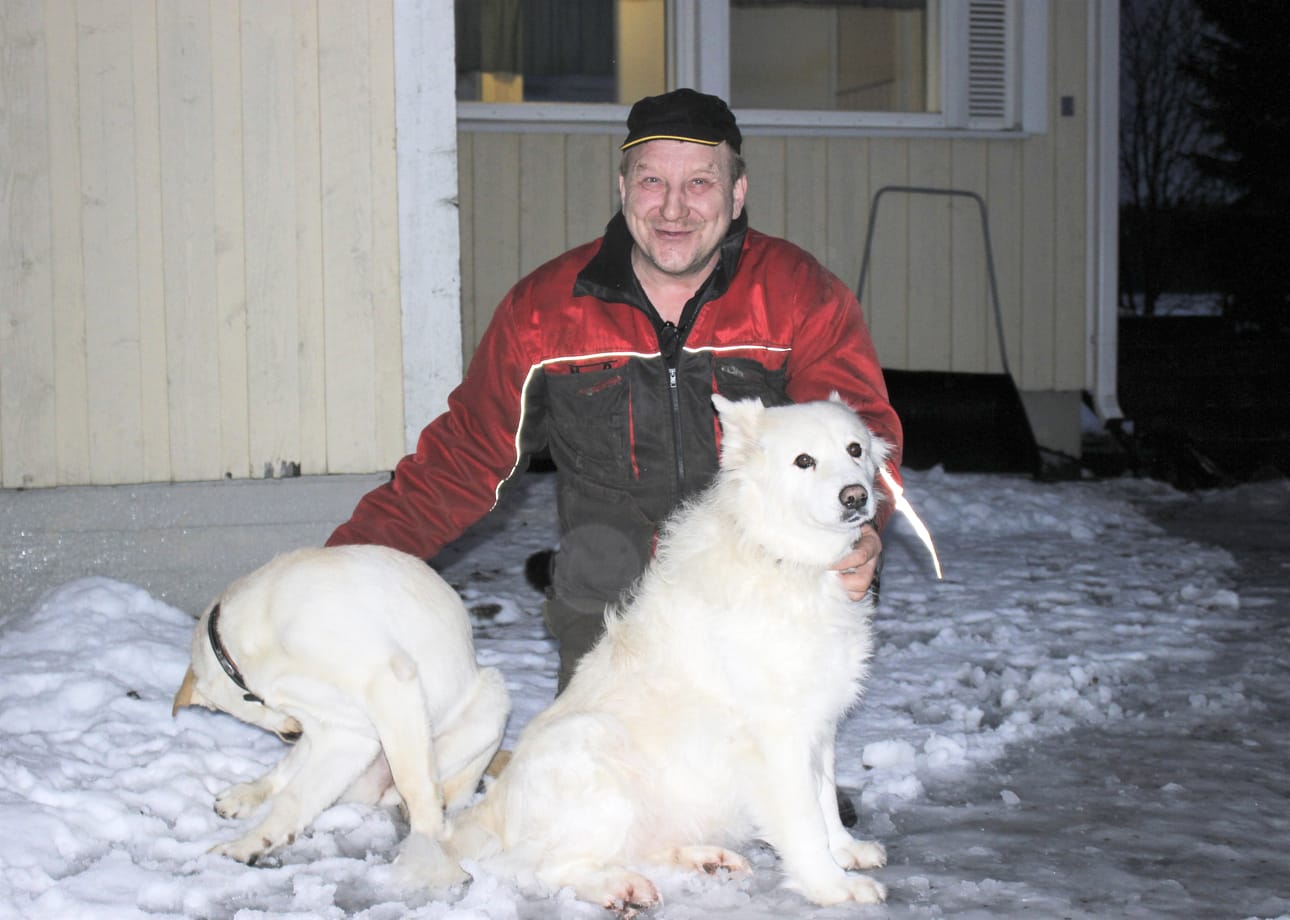 Jari Malmin koirat Lyyli ja Nelli viihtyvät Karijoella vallan mainiosti. Ulkoilumaastot ovat hyvät.