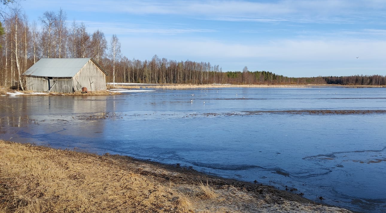Pelloilla on Pohjois-Pohjanmaalla ollut viime aikoina monin paikoin runsaasti vettä ja yöpakkasten myötä vesi on jäätynyt.