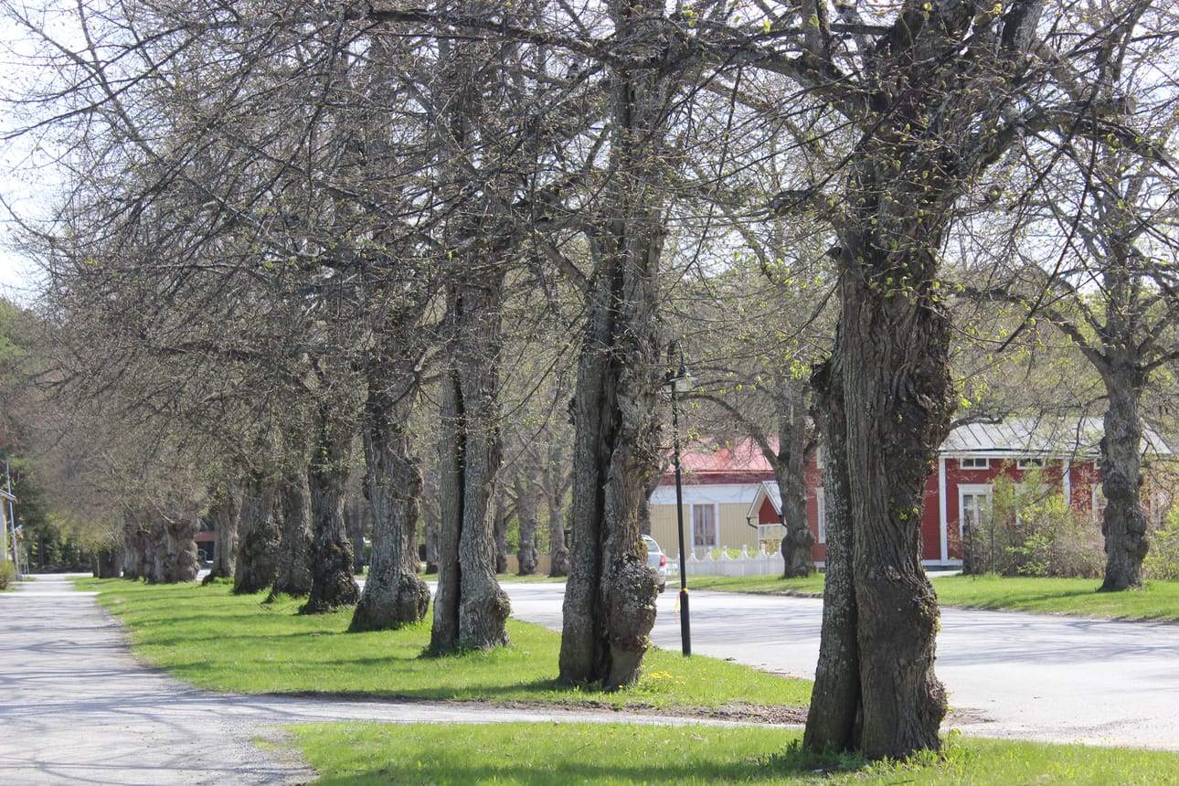 Kaskisten kaupunki aikoo palkata uuden perhepäivähoitajan.