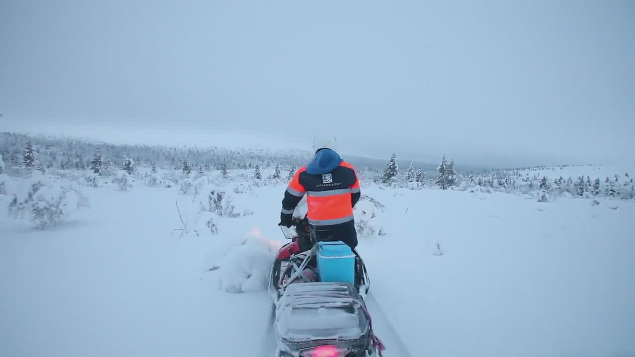 UK-puiston huoltomiesten mukana
