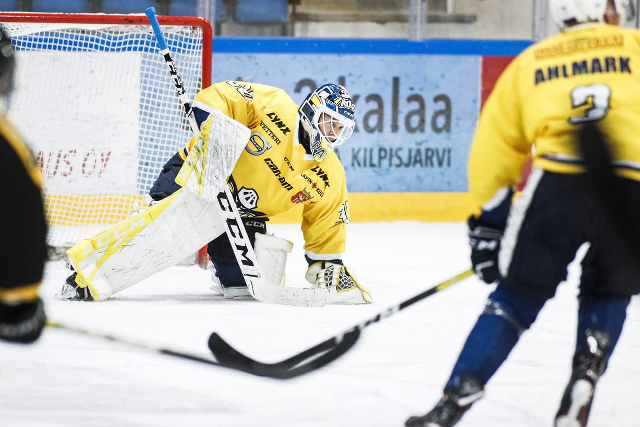 Maalivahti Paavo Hölsä pelasi viime kaudella KeuPa HT:n riveissä ja otti hopeaa Mestiksessä. Nyt hän palaa Rokiin, jossa hän pelasi aiemmin kolme kautta.