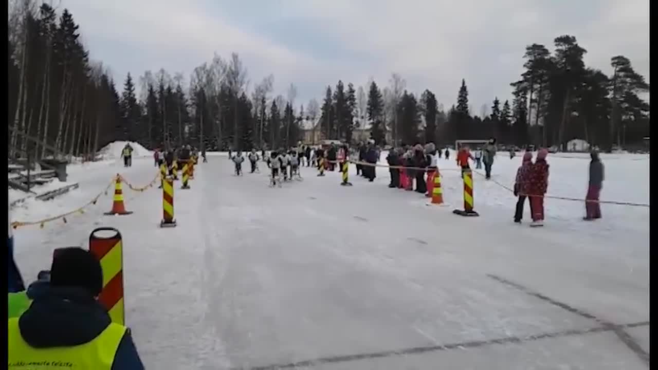 Puluvärkki-Ice