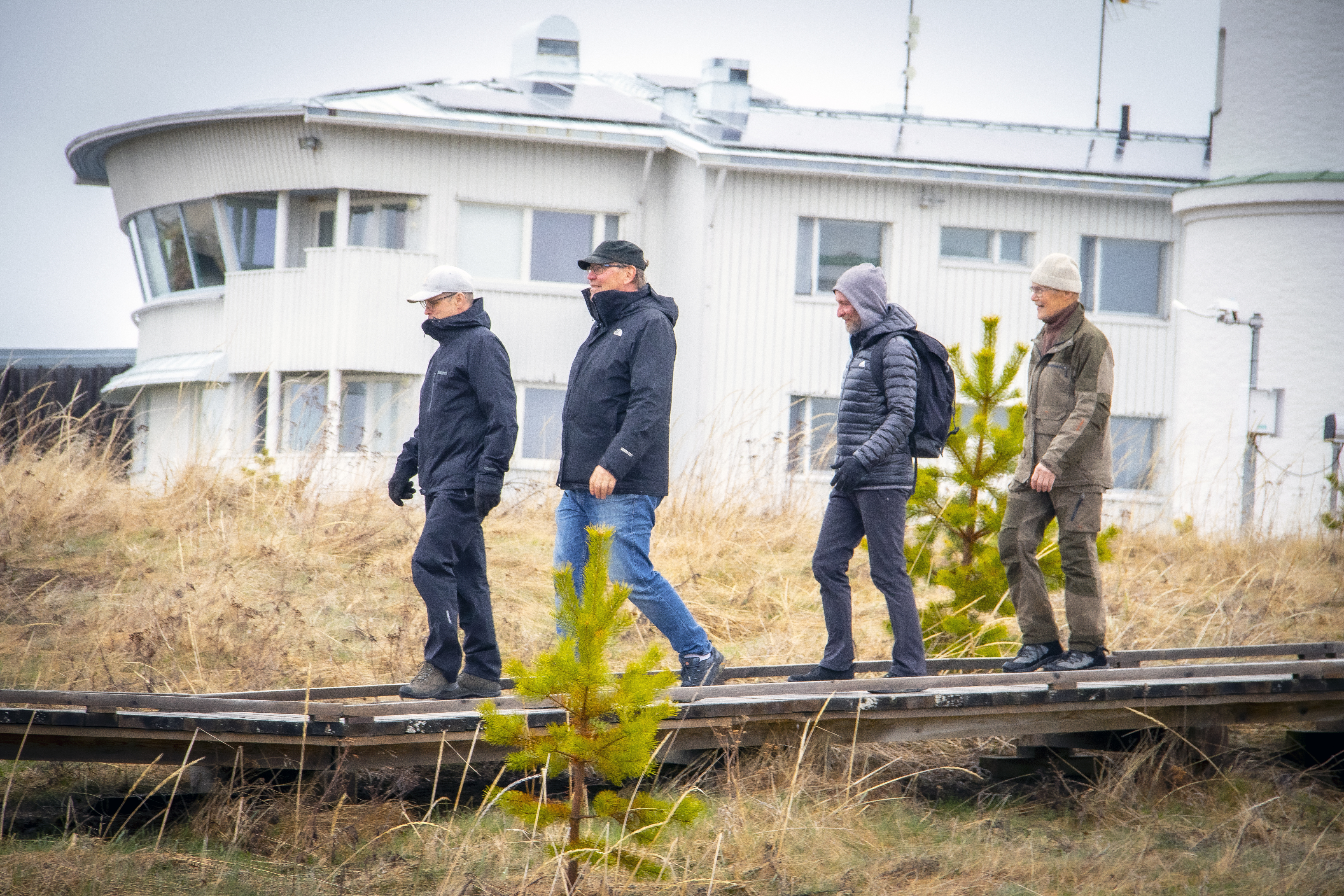 Hailuotolaisäijät päättivät lähteä kävelemään – äijien hyvinvointiryhmä on Hailuodon urheilijoiden alajaosto, jossa myös saunotaan, pelataan, poristaan ja talkoillaan