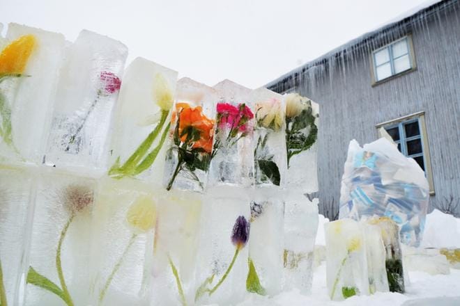 Alajärven Villa Väinölän tulppaanitiilet ihastuttivat muutama vuosi sitten. KUVA: MARKKU TURPELA