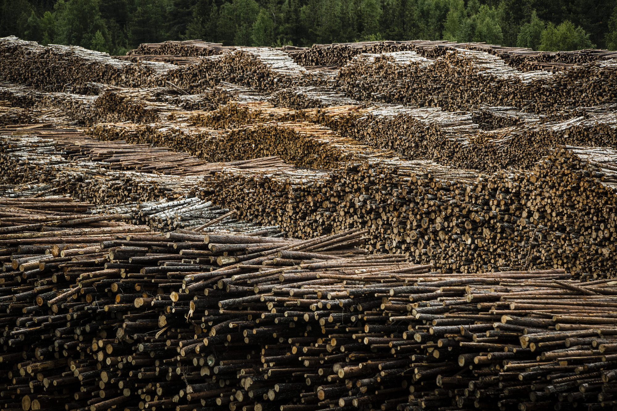 Metsäteollisuus heikentämässä työehtoja