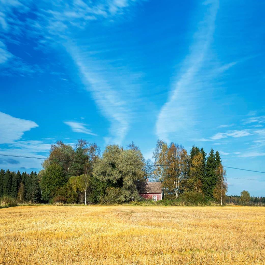 Khronoksen talo ympäröidään portittomalla aidalla, jotta ihmiset eivät pääse pihaan. Eläimet ja kasvit saavat vallata alueen.