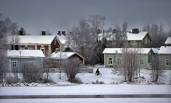 Oulun Pikisaaren vanhat puutalot ovat saaneet seurakseen kauniisti huurtuneita puita.