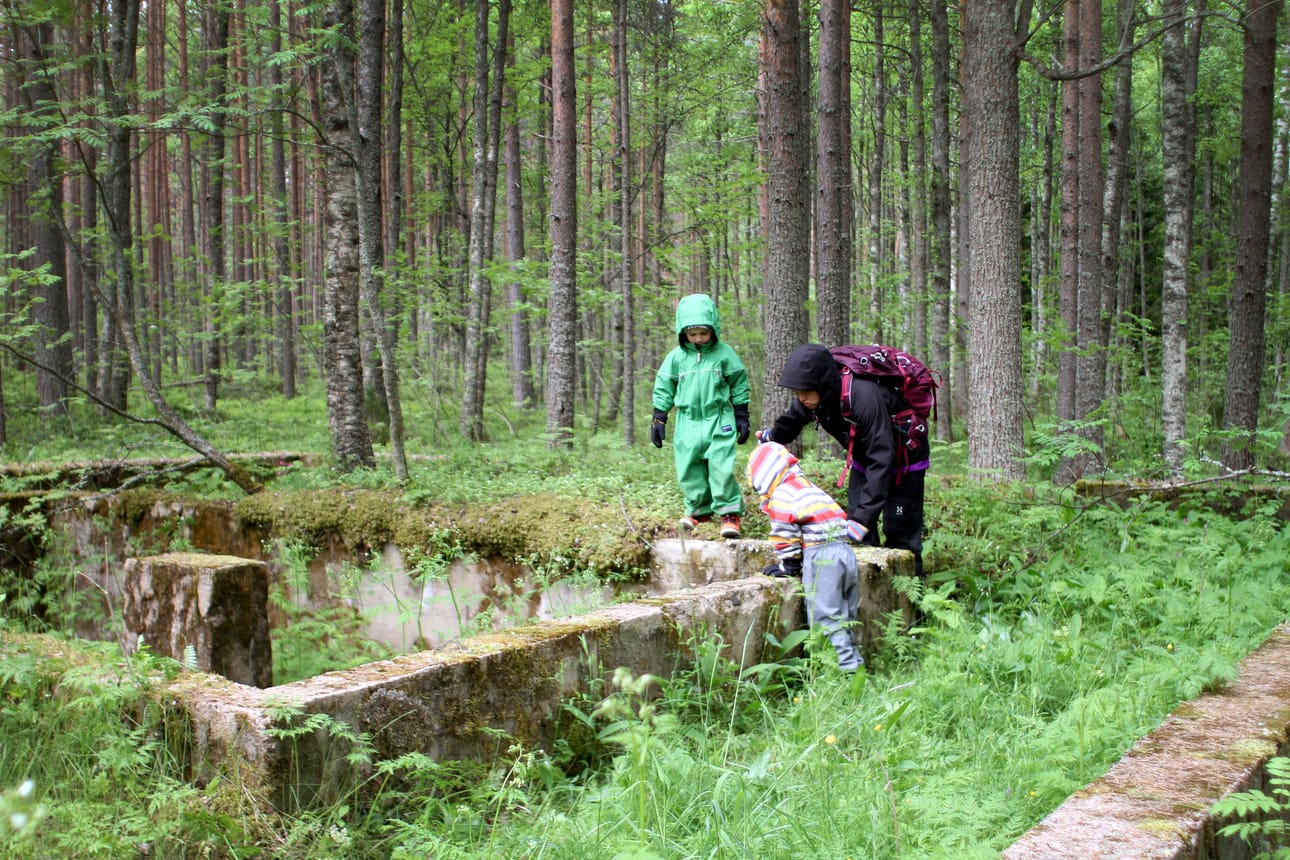 Varjakansaari on täynnä muistoja saha-ajoilta.