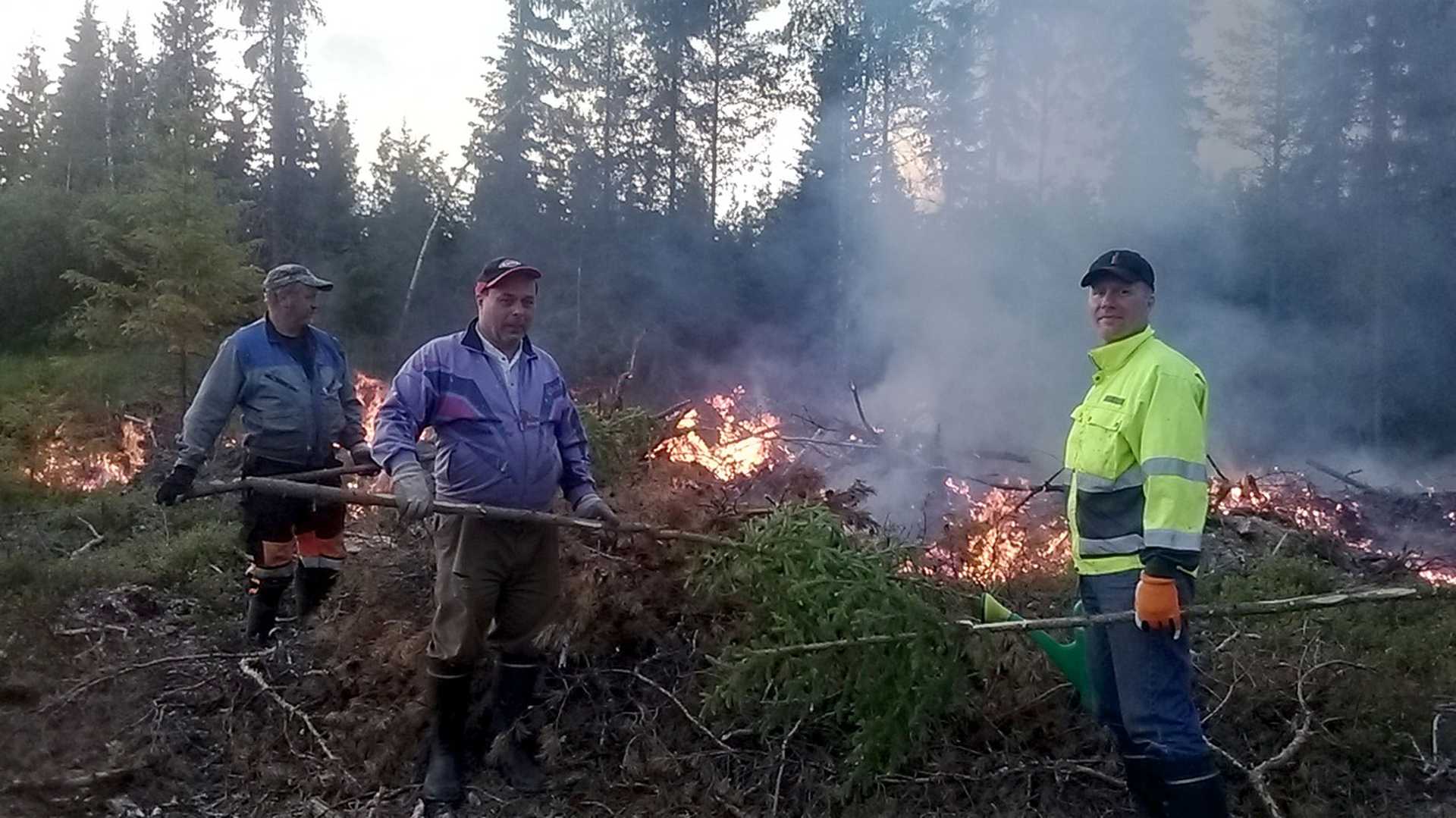 Talkoissa Pauli Kangas Oulaisista, keskellä Mhy Haapavesi-Kärsämäen hall. pj. Heino Vuorenmaa Haapavedeltä ja oikealla Heikki Jokilehto Oulaisista. Kaikilla kädessä hosa eli perinteinen kuusesta tehty sammutusväline.
