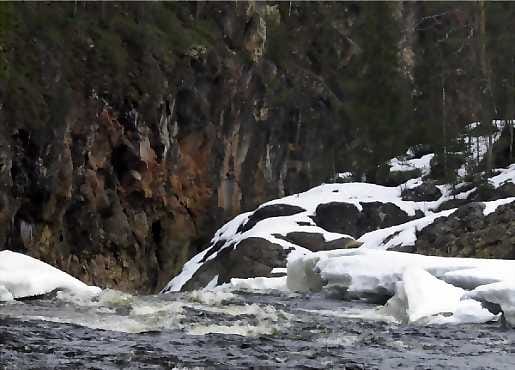 Tällä haavaa koskien suojelusta ei enää makseta korvauksia.