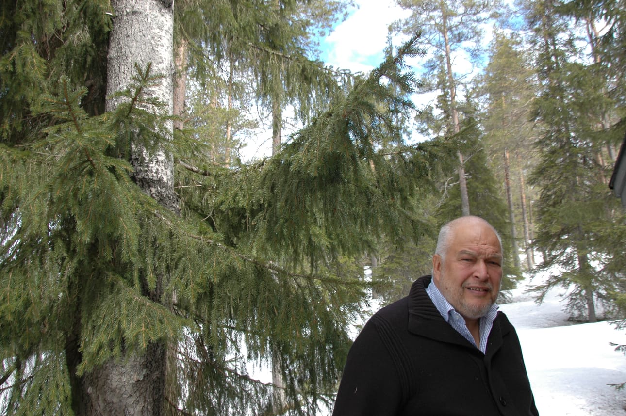 Juhani Järvenpää asuu metsän keskellä omassa rauhassaan Rukan matkailukeskuksen läheisyydessä.