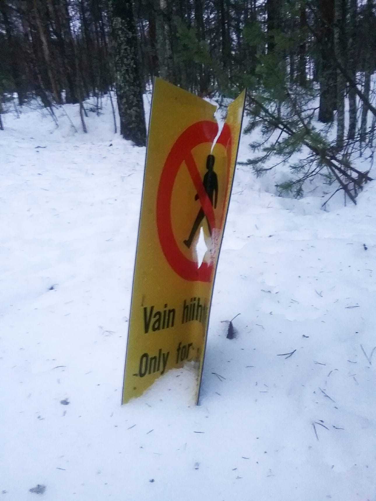 Nivavaarassa usea kaupungin asettama latukyltti on saanut kyytiä. Paikalla näkyy kengänjälkiä, harmittelee paikallinen hiihtäjä.