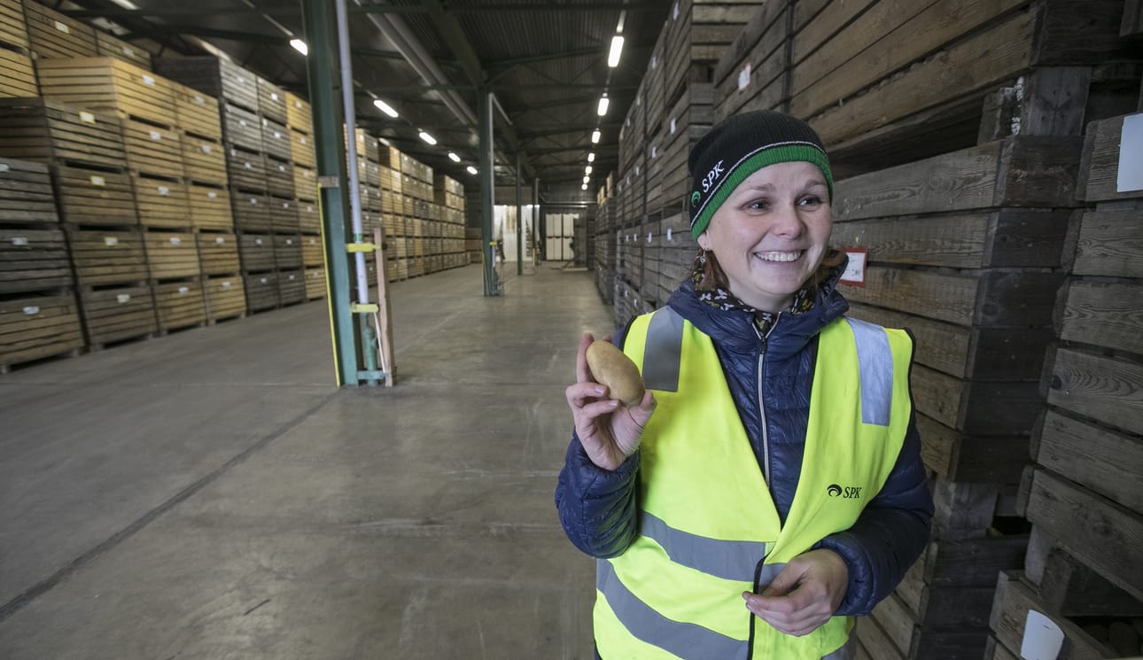 Tyrn‰v‰n perunoita