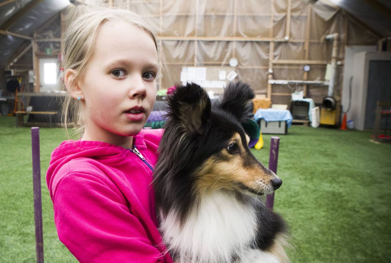 Venla Tuominen ja Usva-koira ovat suomenmestareita.