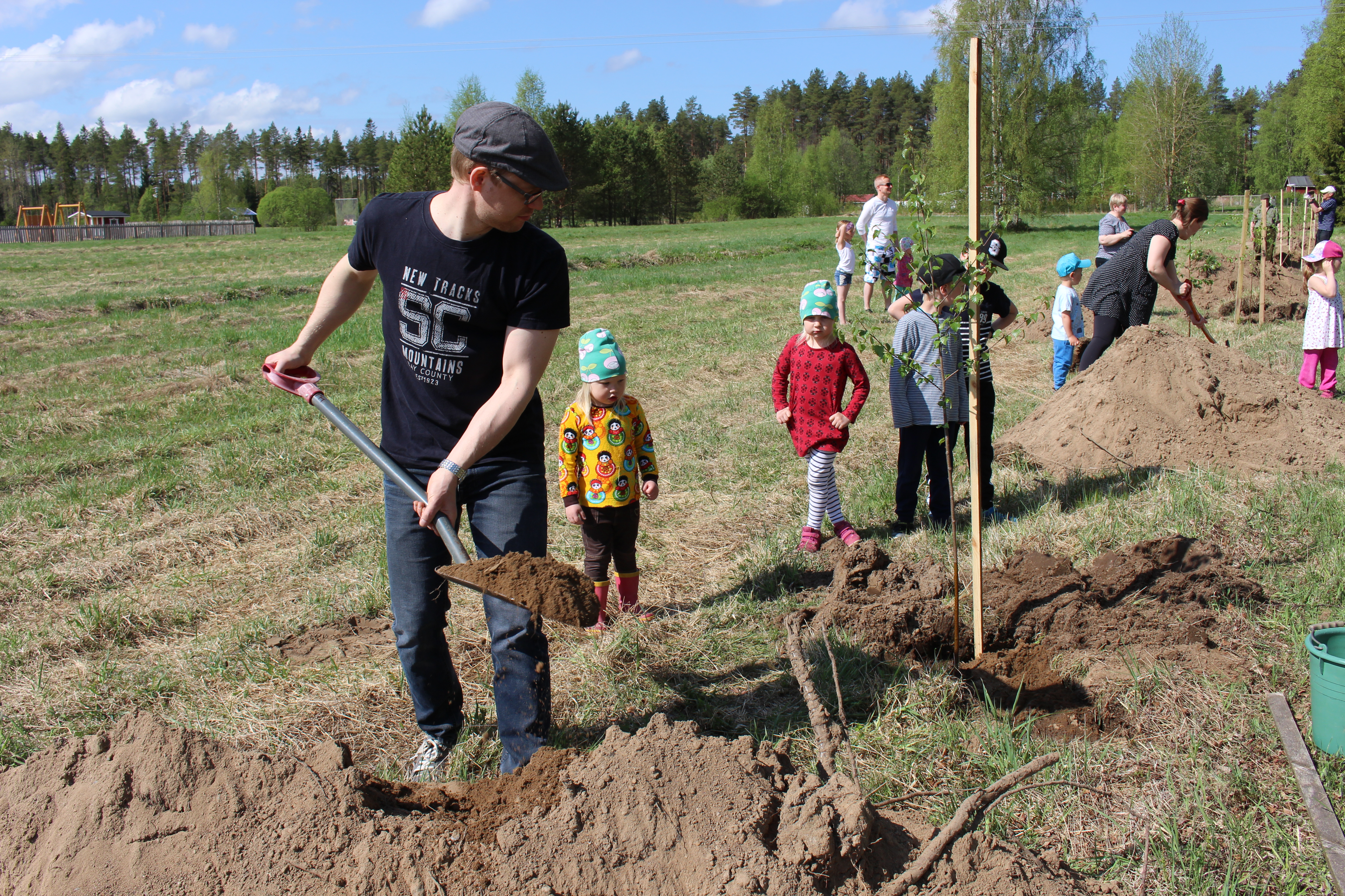 Matti Huttunen istutti Revonlahden rauhanyhdistyksen nimikkokoivun. Osa taimista pääsi multaan nimikkoyrityksen tai -yhdistyksen istuttamina, osa puolestaan talkoovoimin.