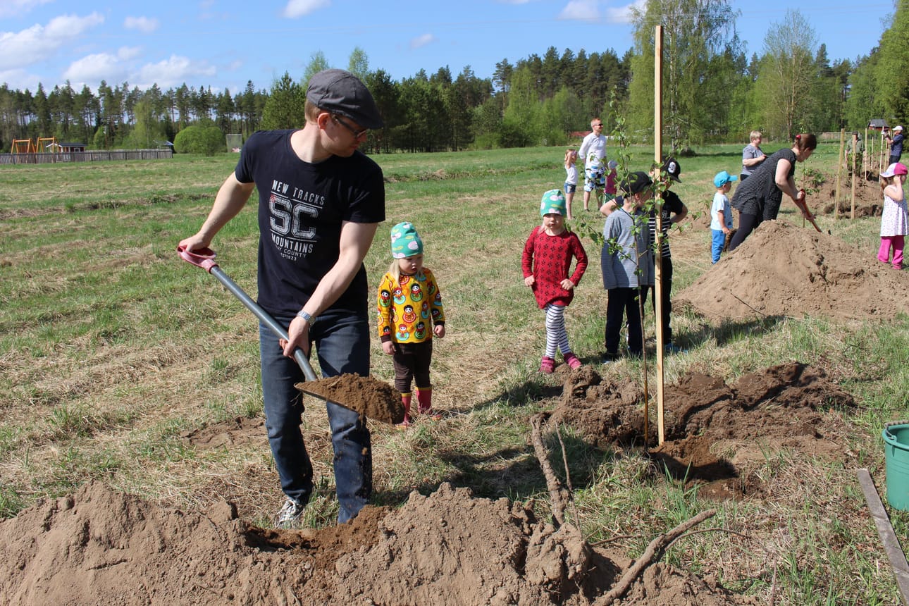 Matti Huttunen istutti Revonlahden rauhanyhdistyksen nimikkokoivun. Osa taimista pääsi multaan nimikkoyrityksen tai -yhdistyksen istuttamina, osa puolestaan talkoovoimin.