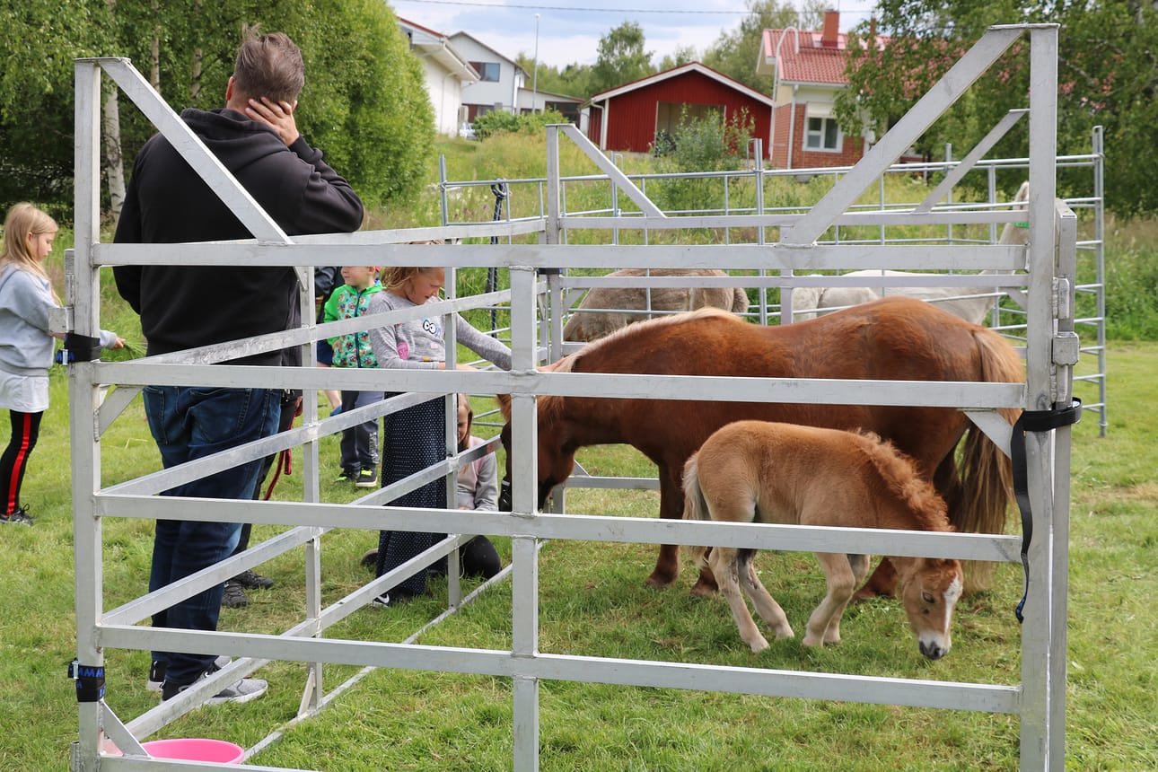 Onnentähden eläimet olivat mukana markkinoilla.