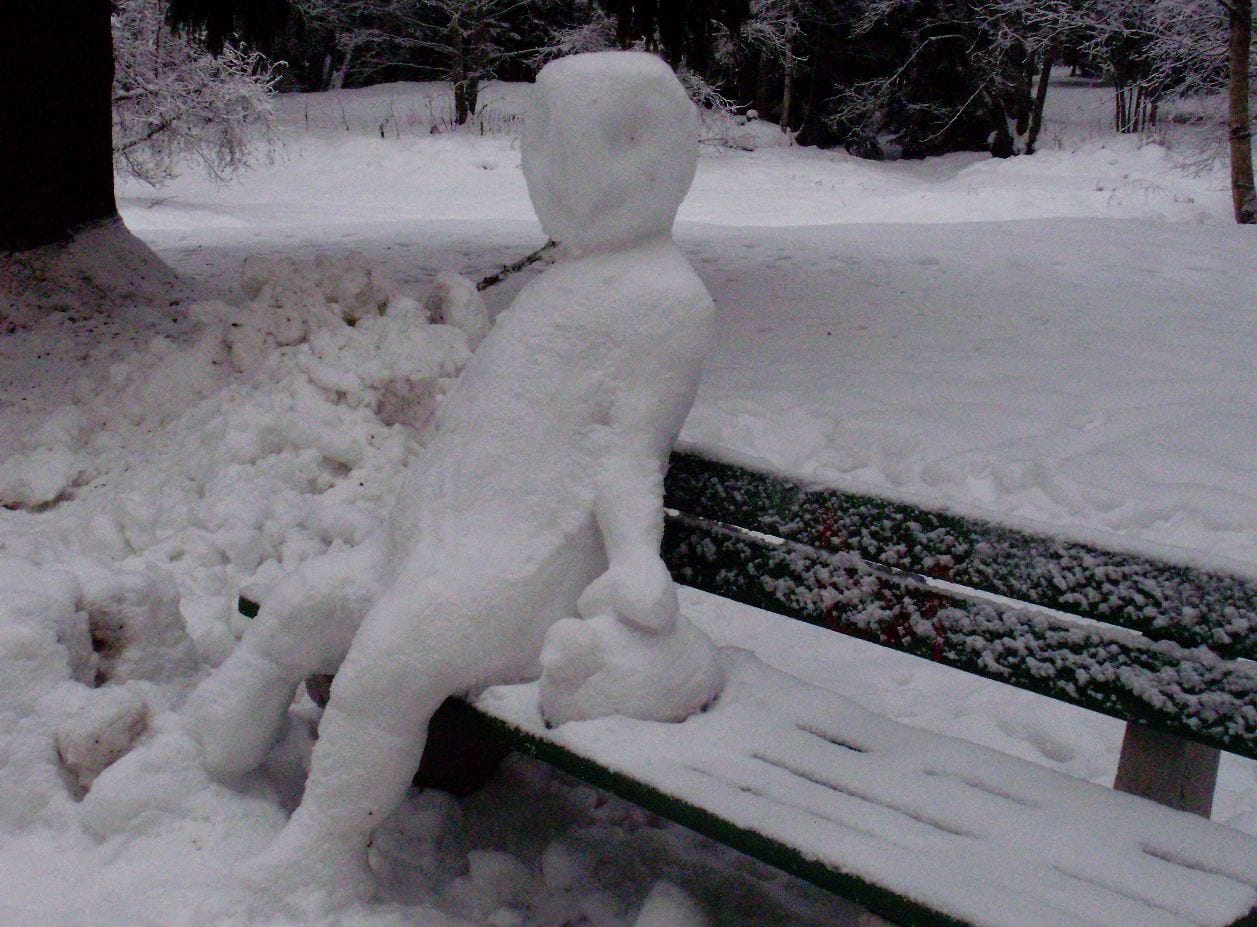 Jäämies silittää jääsorsaa Hupisaarilla.