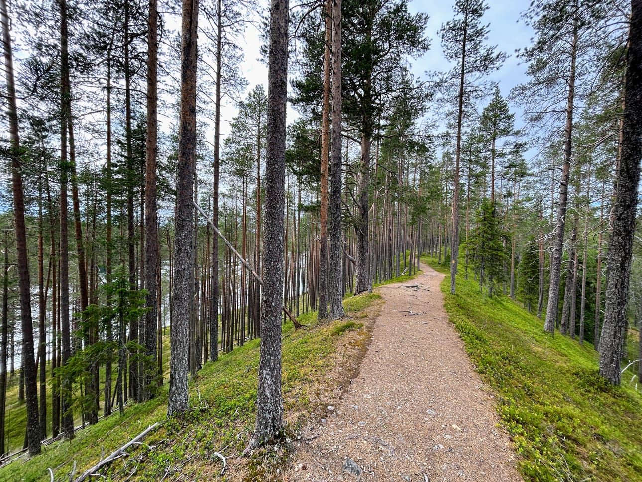 Kapea Soiperonharju erottaa toisistaan Soiperoisen vasemmalla ja Rääpysjärven oikealla.