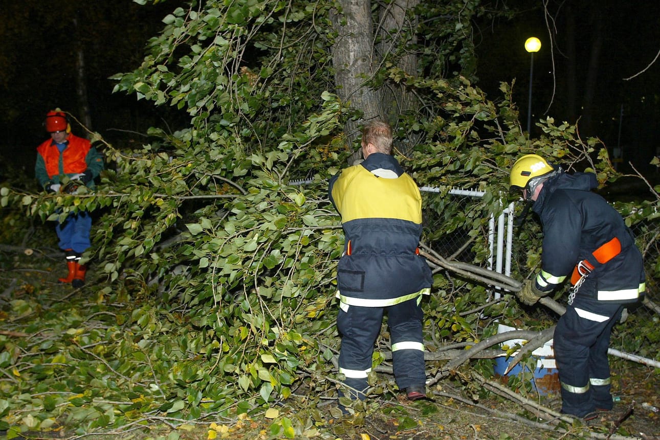 Myrskyn pelätään kaatavan puita. Ulkona liikkumista kannattaa välttää voimakkaimpien tuulten aikana.