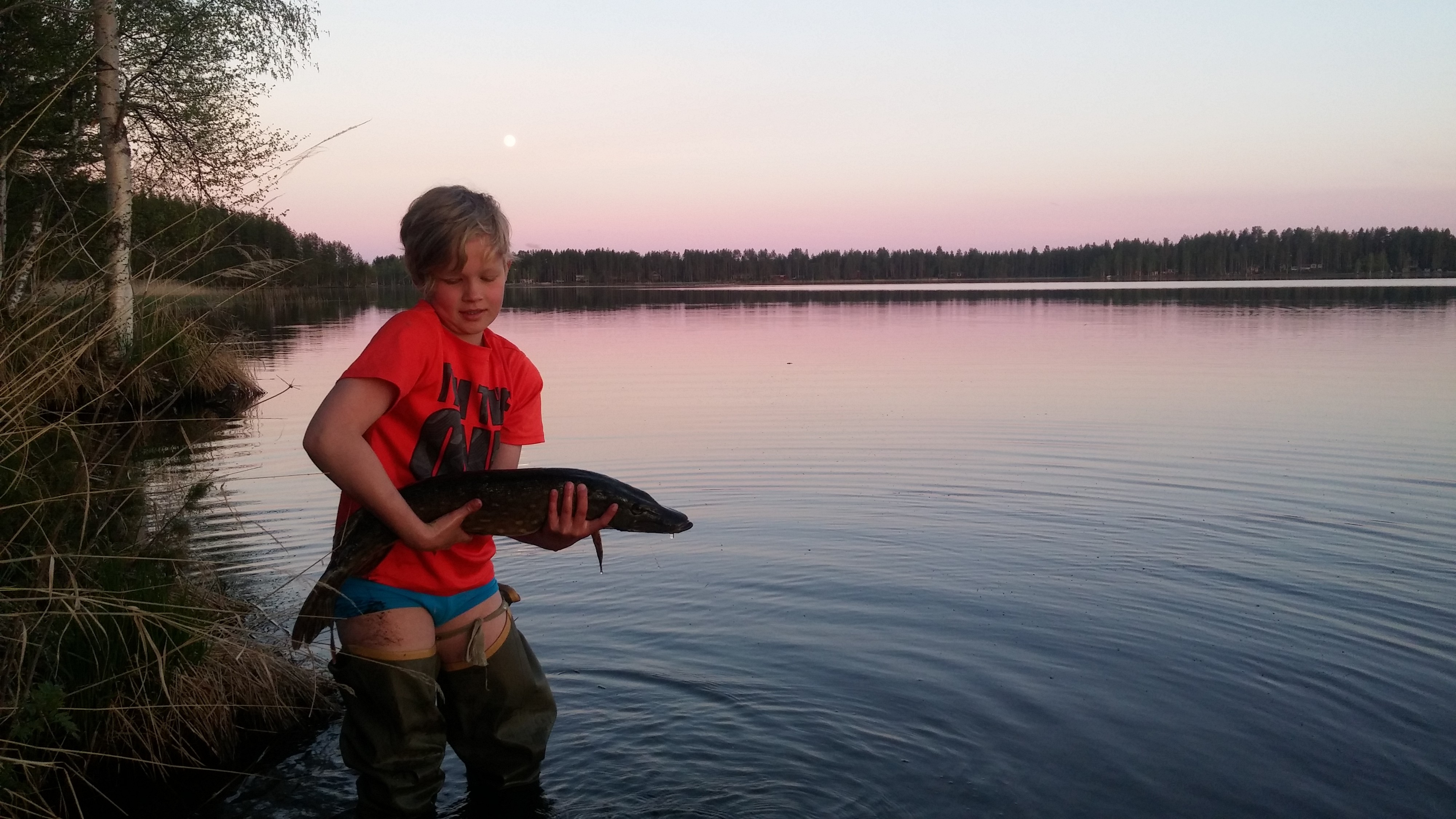Kalakuva. Kuutamokalastusta ja Rokuanjärven "jättihauki".