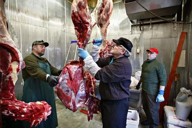Seinäjoen metsästysseuran kylmiöllä on elintarviketilan status. Hirven vasaa käsittelevät Pekka Tallgren ja Sauli Kohtamäki. Jahtipäällikkö Hans Britwin ottaa paistit vastaan. KUVAT: TOMI KOSONEN