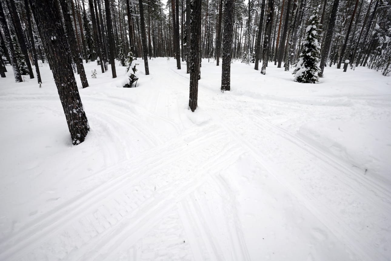 Oulangan kansallispuiston vaellusreittejä kunnostetaan talvella, kun puisto uinuu talvihorroksessa.
