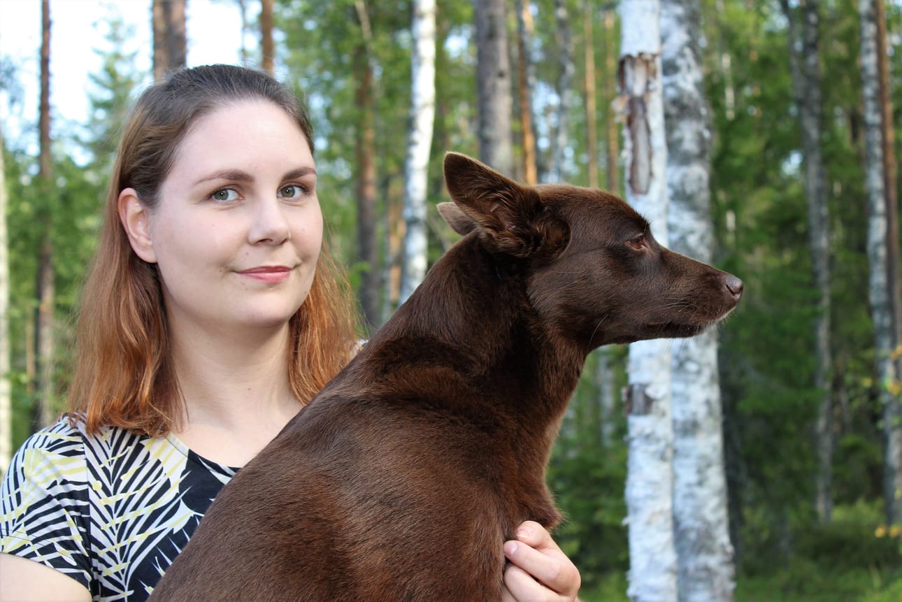 Henna Ohlgren rohkaistui perustamaan oman yrityksen viime keväänä. Kuvassa on hänen neljävuotias koiransa Kaja, joka on rodultaan australiankelpie.