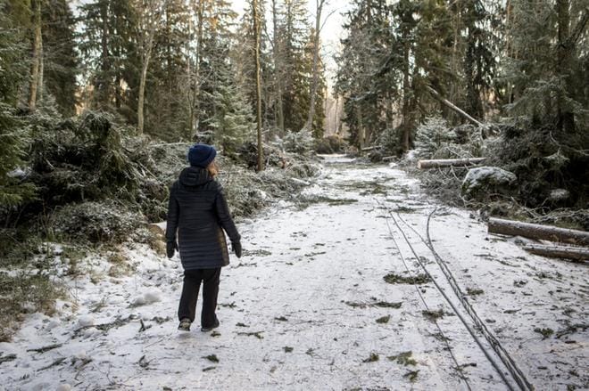 Vaasalaisen Anna Häkärin kotitalon ympäristö on kuin taistelutanner. KUVAT: PAULA KASKIMAA