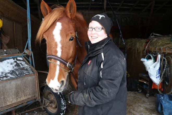 Heidi-Maria Heikkilän suomenhevonen Mimmi saa silloin tällöin nauttia emäntänsä antamasta hieronnasta. KUVA: SAILA COLLANDER