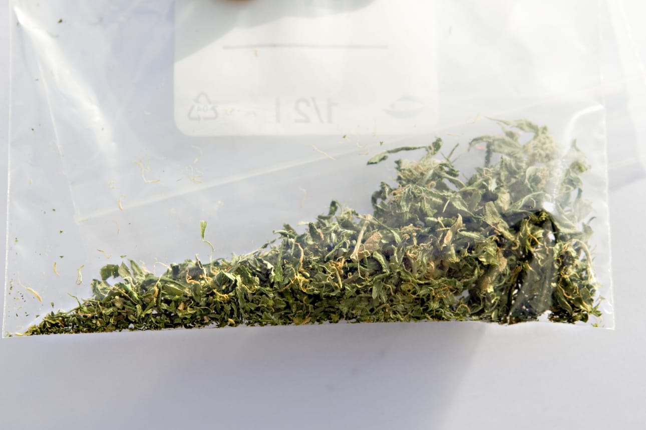 Kannabiksen käytöstä voi aiheutua rikosrekisterimerkintä