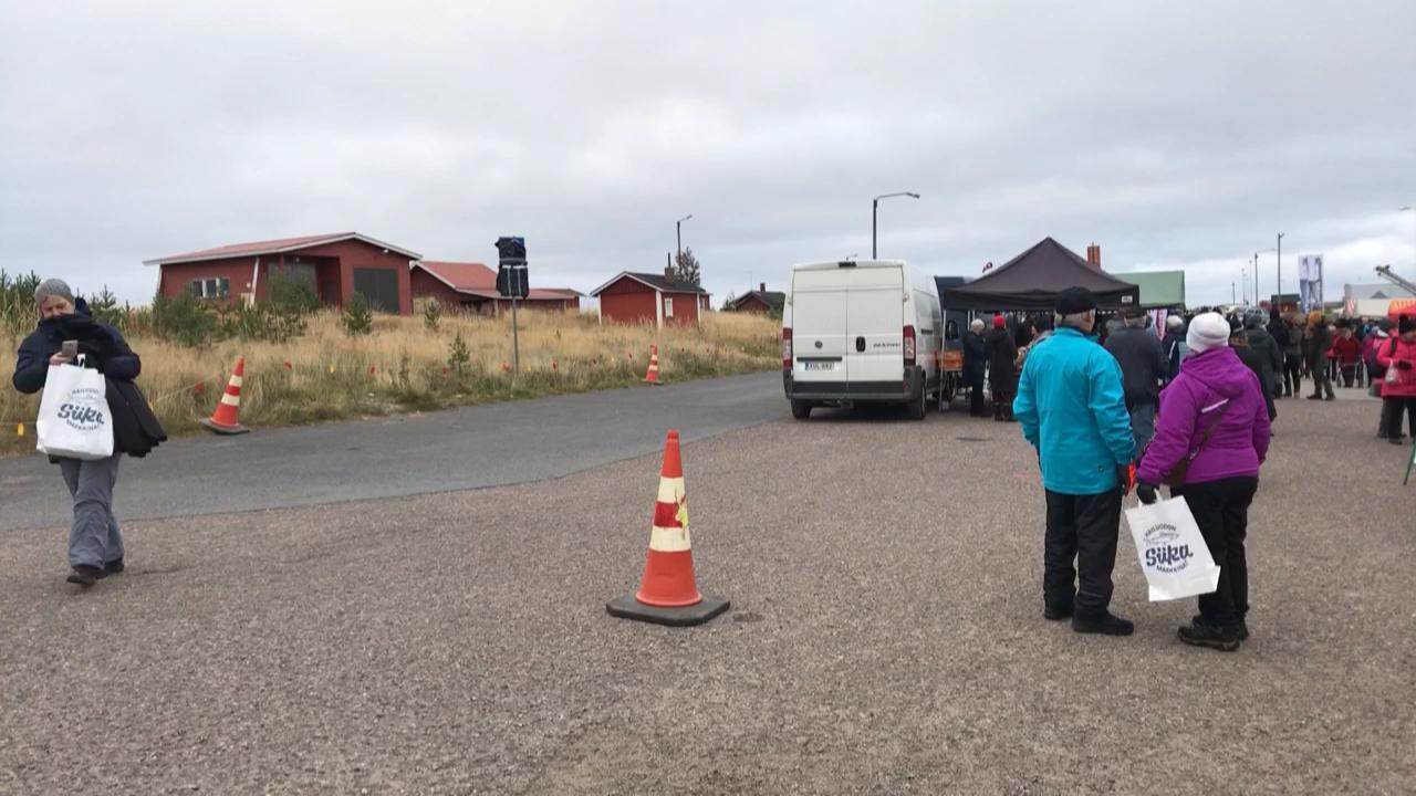 Katso videot Hailuodon Siikamarkkinoilta – millainen on tämän vuoden markkinasää?