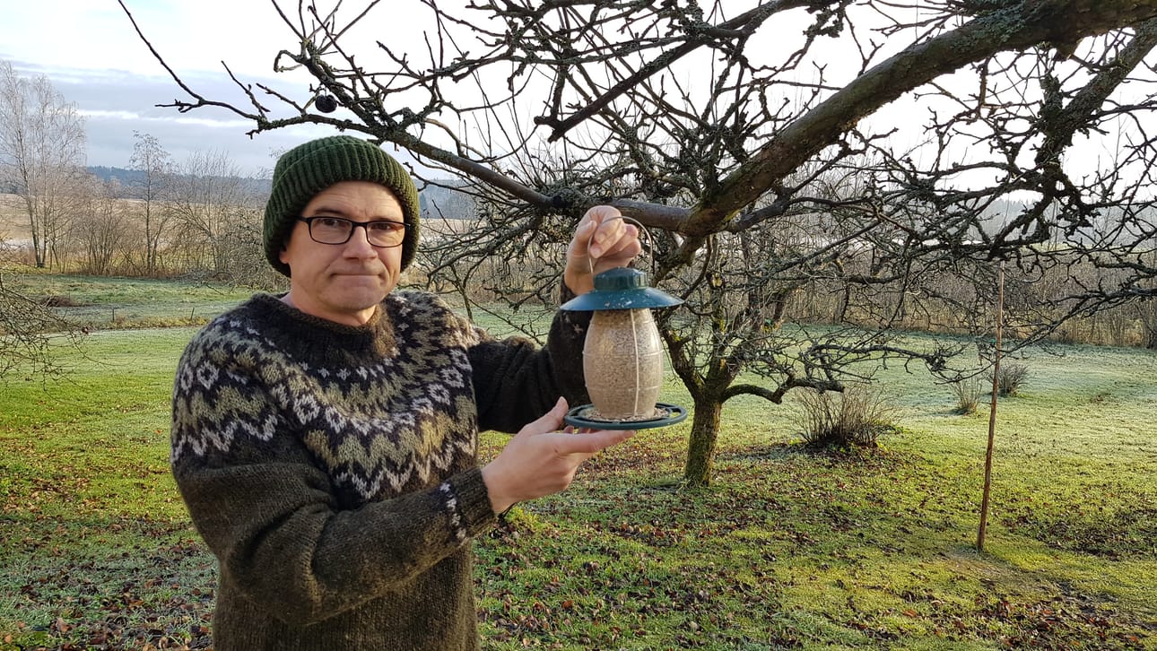 Talitiainen kartoittaa juuri nyt ahkerasti talvireviiriään ja etsii ravintoa, sanoo Jan Södersved.