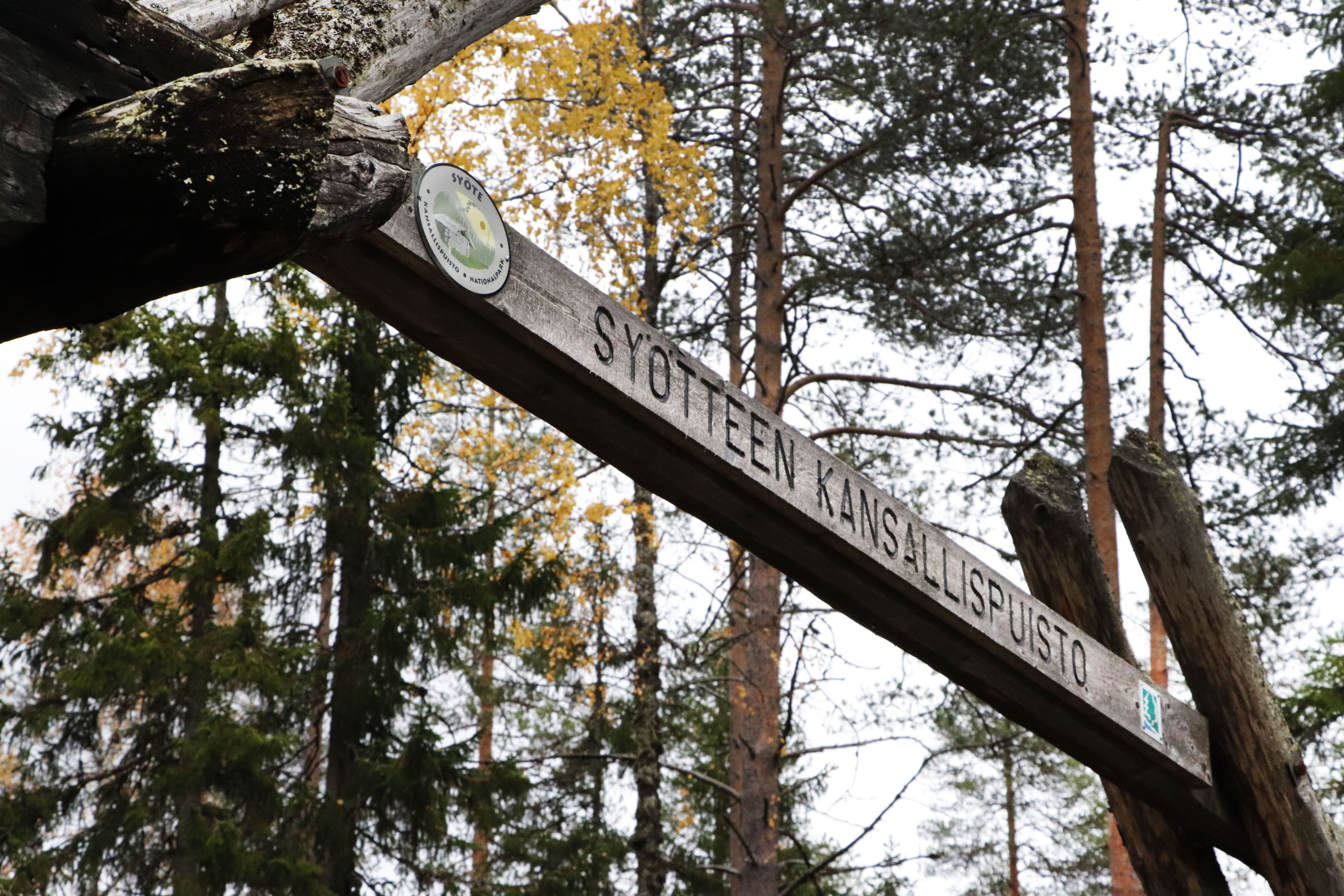 Syötteen kansallispuistossa jälleen kävijäennätys – retkeilyalueella kävijämäärä kaksinkertaistunut
