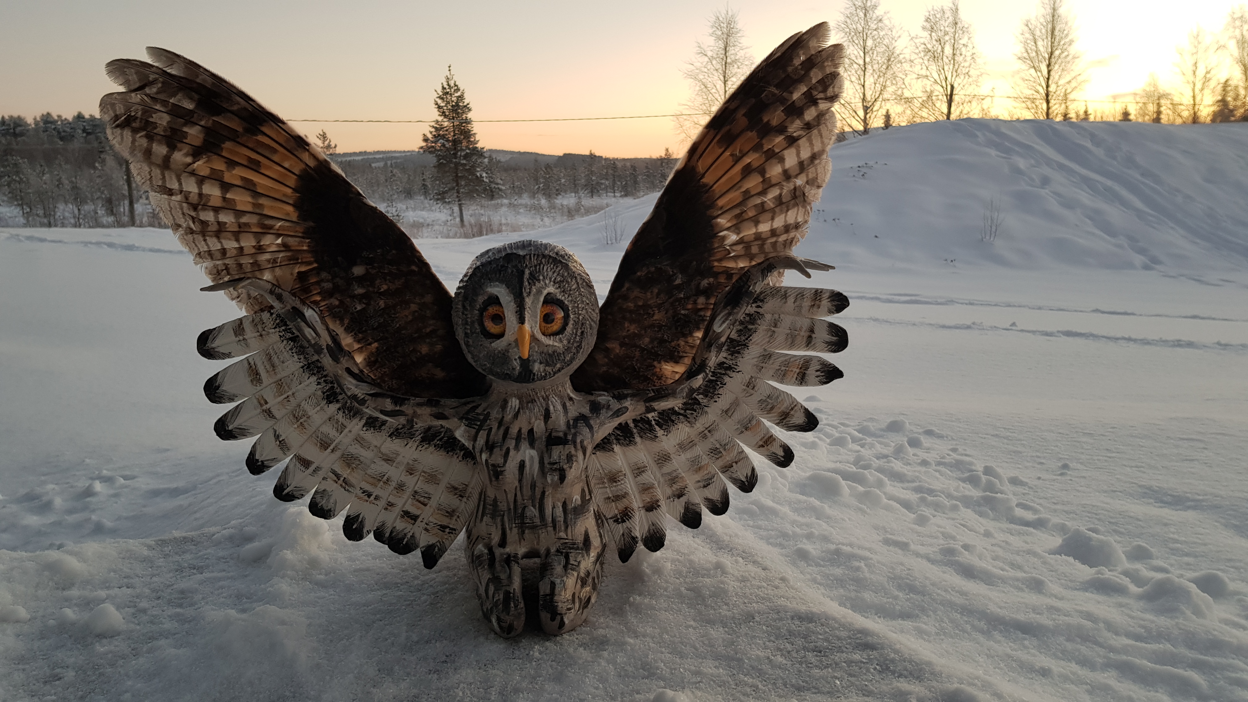 Lapin luonto innoitti kansainvälisiä taiteilijoita Kielan näyttelyssä