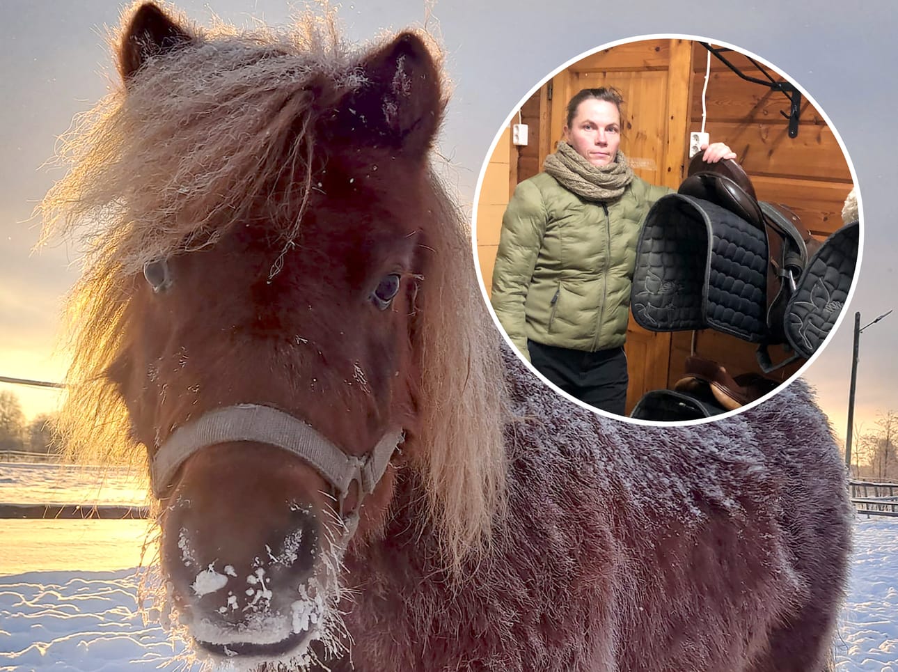 Ann-Lis Kivipelto on muuttanut tallinsa yritystoiminnan Kurejoelta Hoiskoon. Samalla tallin nimikin muuttui Järviseudun ratsastustalliksi.
