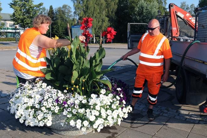 Puutarhuri Henna Ruotsala ja puistotyöntekijä Markku Hietala aloittivat viime viikon keskiviikkona kierroksensa Ylihärmän Lakiantorilta. KUVAT: ANU NAHKALA