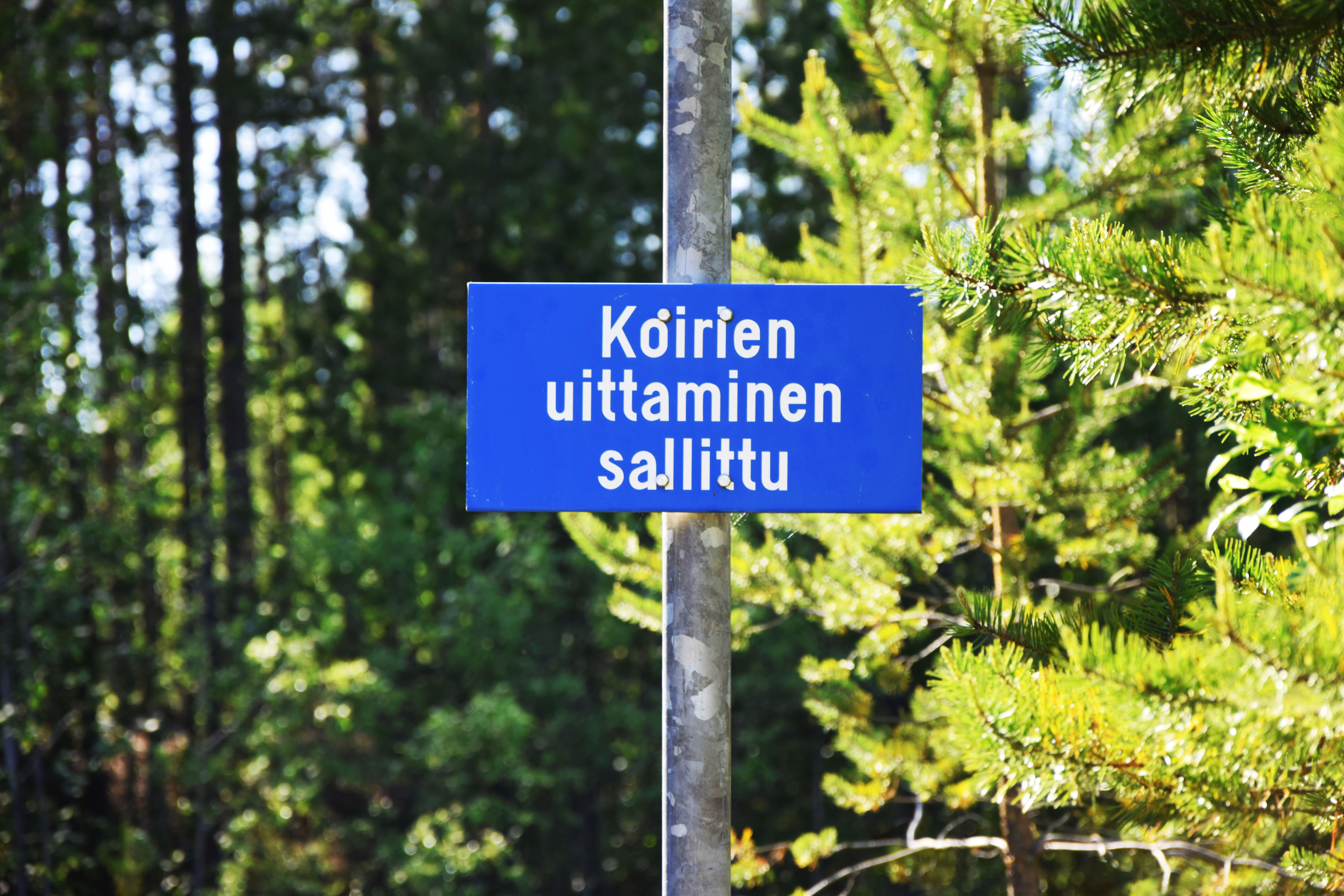 Koirien oma uimapaikka Ruukissa on selkeästi merkitty.