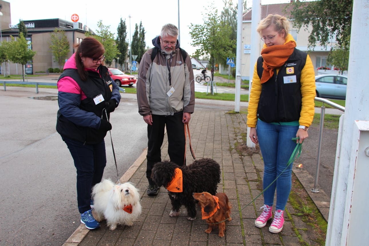 Kennelliiton kaverikoirat jalkautuivat Villin perjantain menoon. Janette Honkalan havannankoira Martti, Osmo Räsäsen espanjalainen vesikoira Mini ja Raisa Mäkelän pitkäkarvainen kääpiömäyräkoira Dana tekivät tuttavuutta väen kanssa.