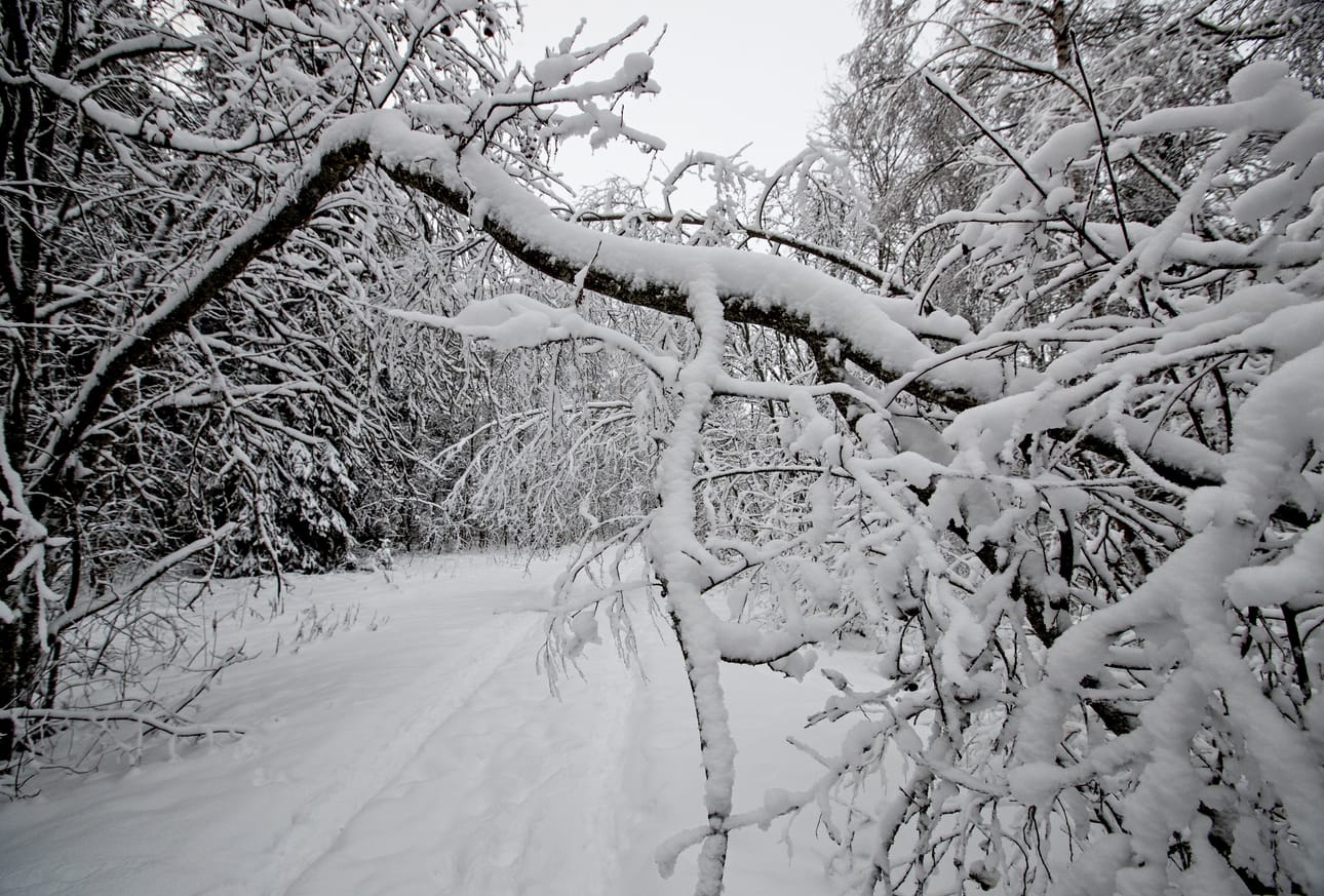 Talvinen näkymä Hietasaaressa. Arkistokuva.