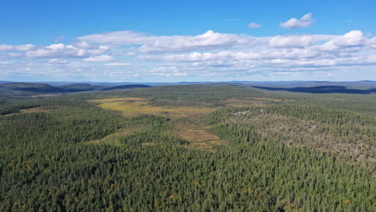 Palovaaran ja Ahkiovaaran alueen kaavan poikkeamisluvasta valitettiin hallinto-oikeuteen, mutta hallinto-oikeus kumosi valitukset. Kevään aikana kunta on myöntänyt rakennusluvat 17 tuulivoimalalle Pellon eteläosaan. Kaava tuhannen hehtaarin alueelle on valmistunut jo kymmenen vuotta sitten.