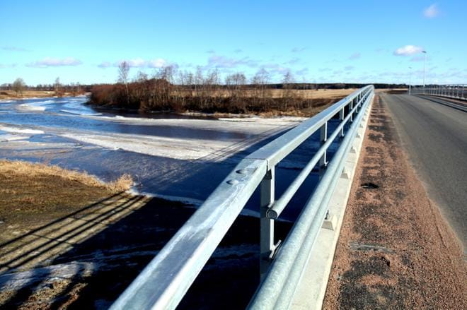 Linnut ovat liikkeellä. Ely-keskuksen mielestä Kauhavan kaupungin pitäisi turvata niiden kevätmuutto katkaisemalla kulku Alajokitiellä. KUVA: ANU NAHKALA