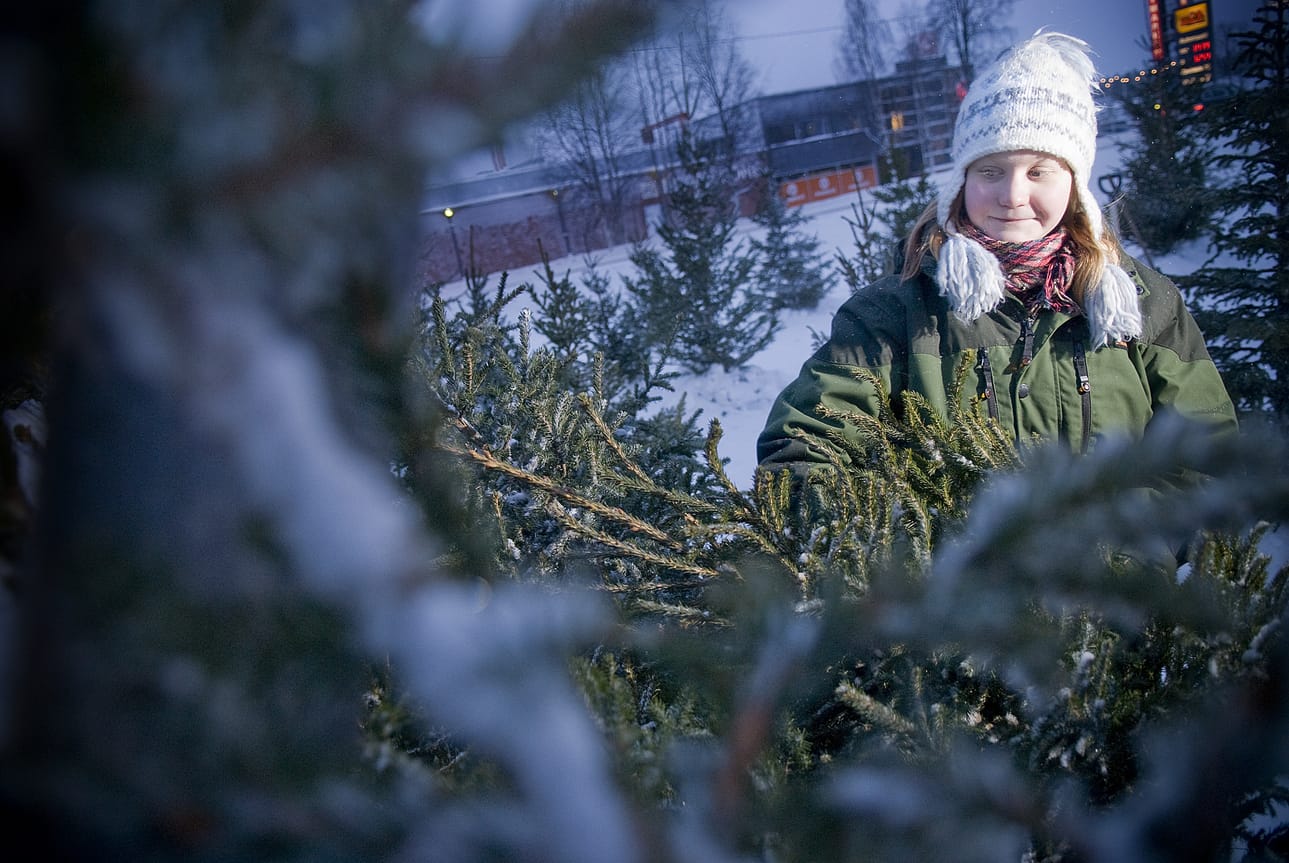 Tytti Taivalkoski valittiin kyläasianneuvottelukunnan johtoon. Arkistokuva.