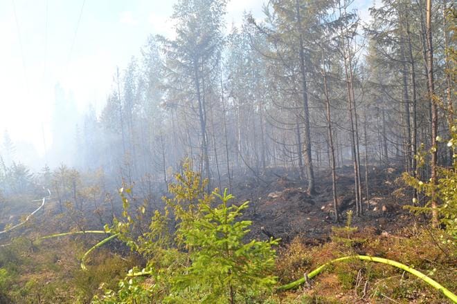 Vimpelissä paloi metsää 5 hehtaarin alueelta. KUVA: MARKKU TURPELA