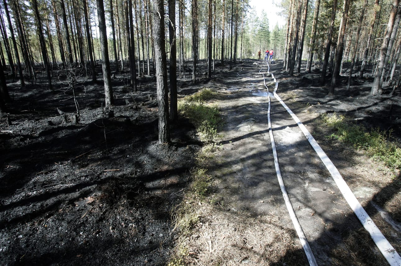 Lähes koko maassa on tällä hetkellä voimassa metsäpalovaroitus. Kuiva maasto syttyy helposti palamaan.