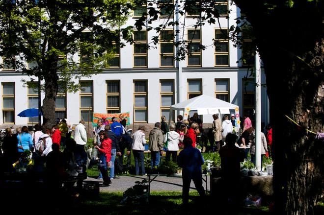 Taimitori Vaasan kaupunginkirjaston pihassa vuonna 2012. Kuva: Minna Hirvelä