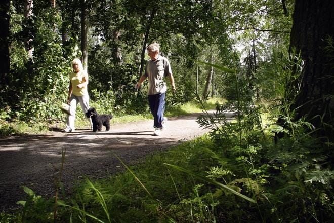 Vaasan rannan kävelypolku saa ensi syksyyn mennessä uuden ilmeen, kun luonnon monimuotoisuuden kannalta haitallista ruovikkoa poistetaan. ARKISTOKUVA: HEIDI RISTO