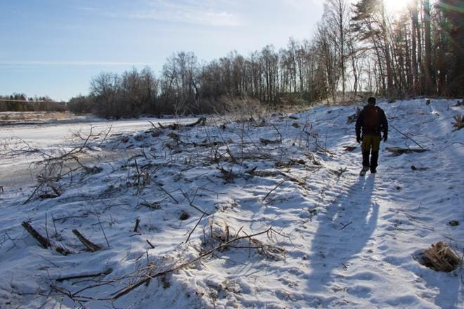 Aluesihteeri Teemu Tuovinen kävi tarkastelemassa Tiukanjoen rantojen tilannetta. Kulkuväyliä on raivattu herkän jokiluonnon alueella isoille koneille. KUVA: AUNE WARONEN