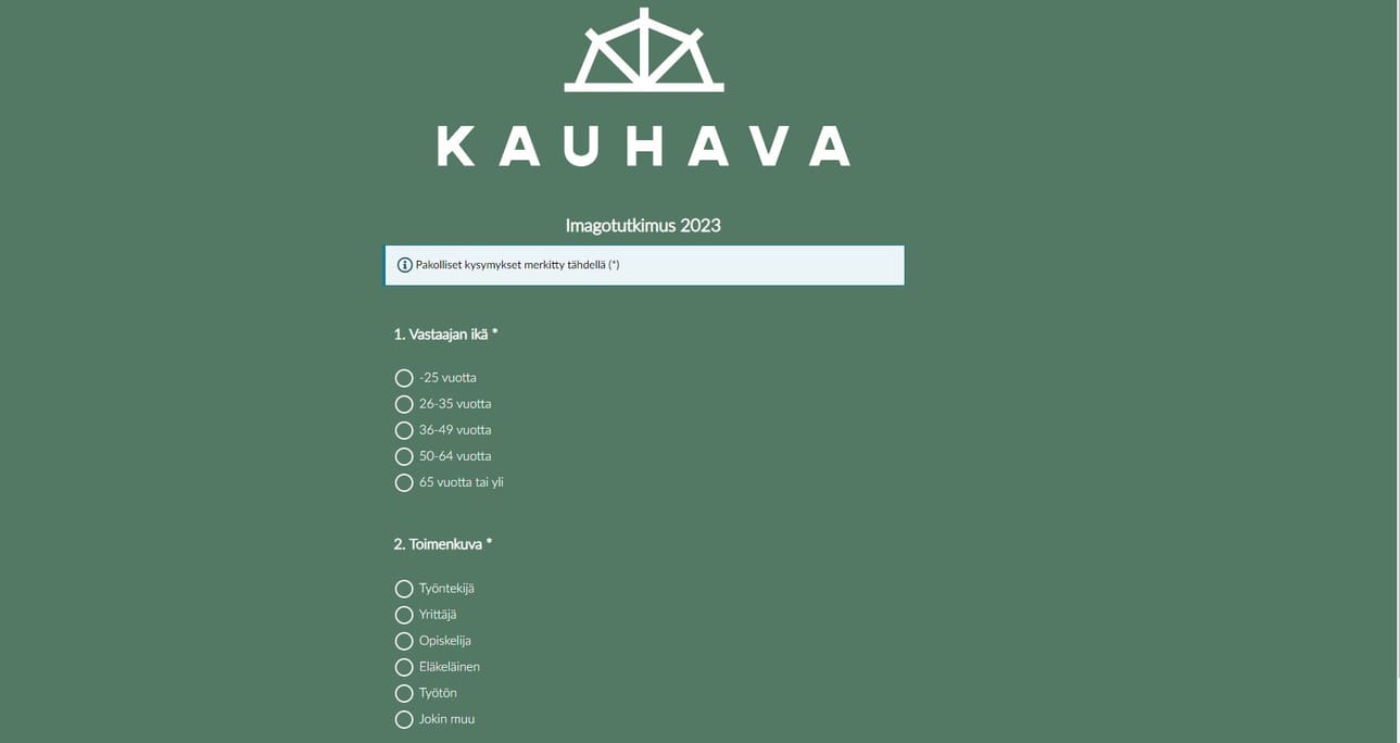 Kuvakaappaus kyselyn etusivusta.